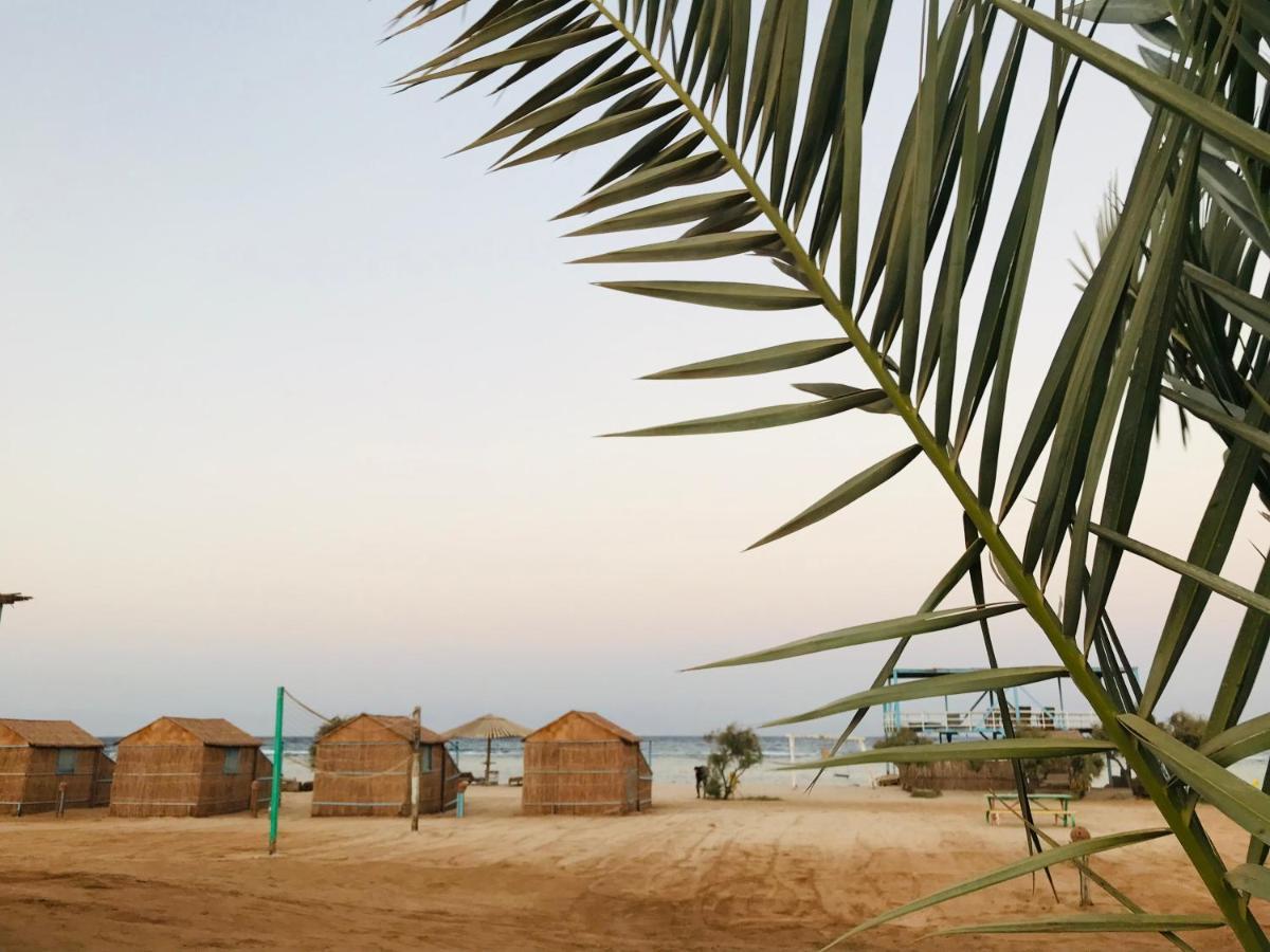 Half Moon Camp Otel Taba Dış mekan fotoğraf